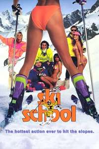Ski School - Poster