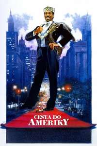 Coming to America - Poster