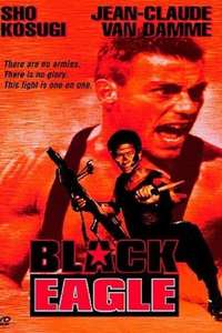Black Eagle - Poster