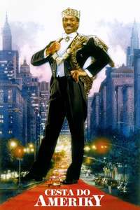 Coming to America - Poster