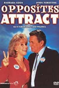 Opposites Attract - Poster