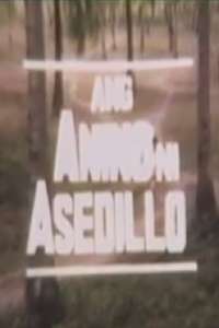 Ang Anino Ni Asedillo - Poster