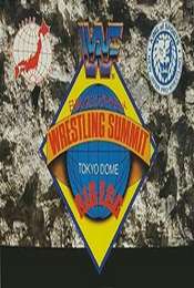 WWF/AJPW/NJPW Wrestling Summit