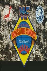 WWF/AJPW/NJPW Wrestling Summit - Poster