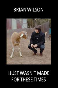 Brian Wilson: I Just Wasn't Made for These Times - Poster