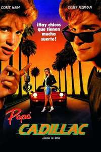 License to Drive - Poster