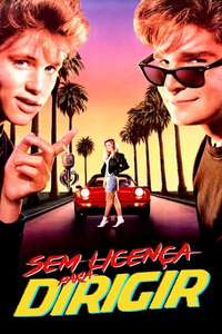 License to Drive - Poster