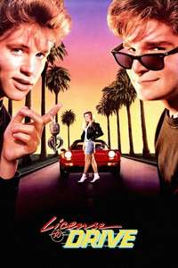 License to Drive - Poster