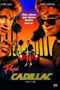 License to Drive - Poster
