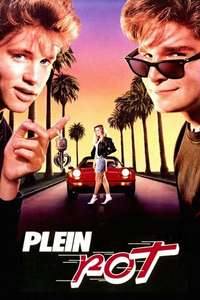 License to Drive - Poster