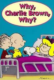 Why  Charlie Brown  Why?
