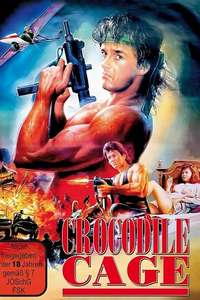 Double Crosser - Poster