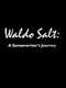 Waldo Salt: A Screenwriter's Journey