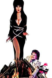 Elvira  Mistress of the Dark - Poster