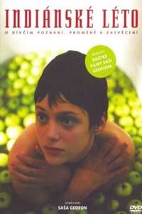 Indian Summer - Poster
