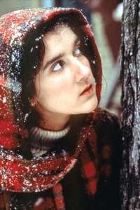 Des fleurs sur la neige - Poster