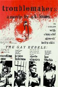 The Troublemakers - Poster