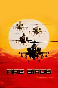Fire Birds - Poster