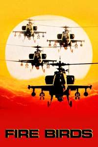 Fire Birds - Poster