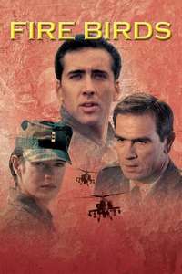 Fire Birds - Poster