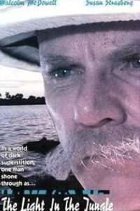 Schweitzer - Poster