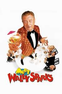 Meet Wally Sparks - Poster