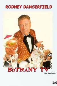Meet Wally Sparks - Poster