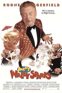 Meet Wally Sparks - Poster