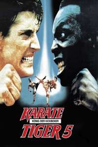 The King of the Kickboxers - Poster
