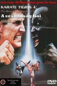 The King of the Kickboxers - Poster
