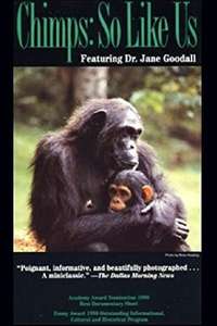 Chimps: So Like Us - Poster