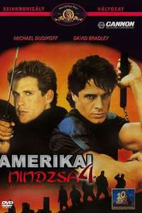 American Ninja 4: The Annihilation - Poster