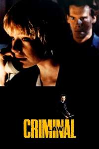 Criminal Law - Poster
