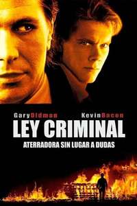 Criminal Law - Poster