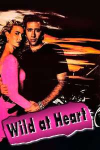 Wild at Heart - Poster
