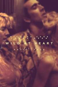 Wild at Heart - Poster