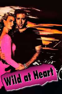 Wild at Heart - Poster