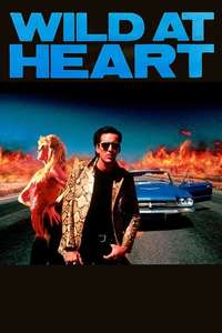 Wild at Heart - Poster