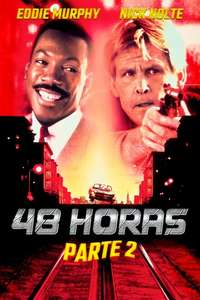 Another 48 Hrs. - Poster