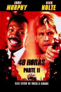 Another 48 Hrs. - Poster