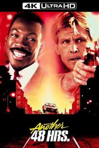 Another 48 Hrs. - Poster