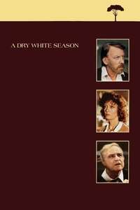 A Dry White Season - Poster