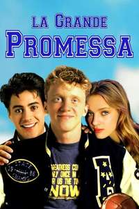 Johnny Be Good - Poster