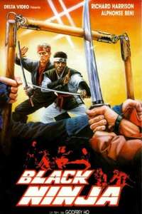 Ninja Silent Assassin - Poster