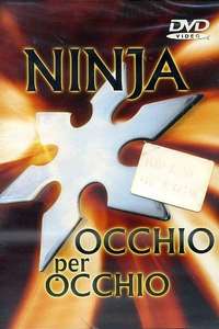 Ninja Silent Assassin - Poster