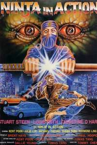 Ninja in Action - Poster