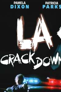 L.A. Crackdown - Poster