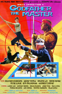The Power of Ninjitsu - Poster