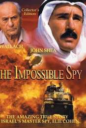 The Impossible Spy
