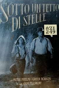 Starlight Hotel - Poster